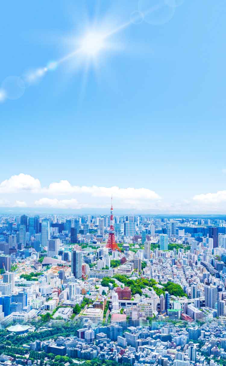 Building, real estate, and land utilization in central Tokyo